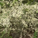 DSCN3119
