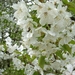 DSCN3124