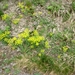 DSCN3127