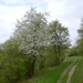 DSCN3139