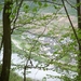 DSCN3148