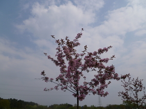 P1000095