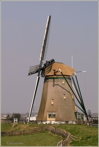 Molen Lisse