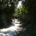 Fietsen in de omgeving Rovinj,6-2011
