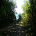 Fietsen omgeving Rovinj,6-2011