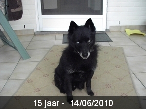 Blacky 2005