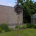 bloemen