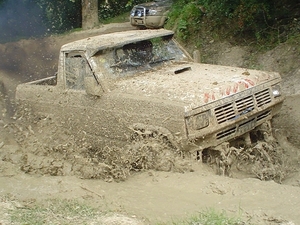 tommeke 058