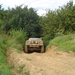 tommeke 079