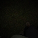 tommeke 128