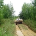 tommeke 182