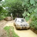 tommeke 198