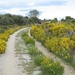 2008 Santiago  009