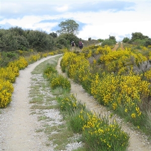 2008 Santiago  009
