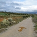 2008 Santiago  012
