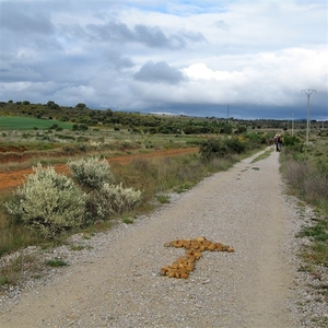 2008 Santiago  012