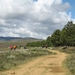 2008 Santiago  016