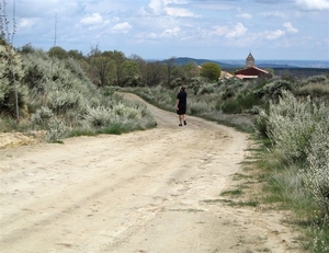 2008 Santiago  021