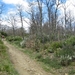 2008 Santiago  024