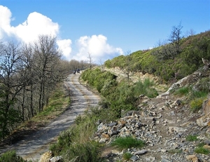 2008 Santiago  053