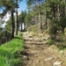2008 Santiago  057
