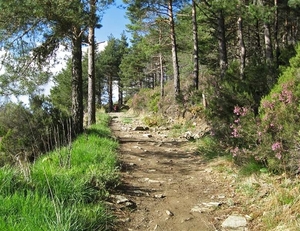 2008 Santiago  057