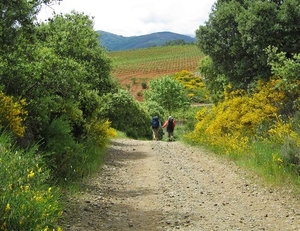 2008 Santiago  102