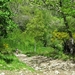 2008 Santiago  126