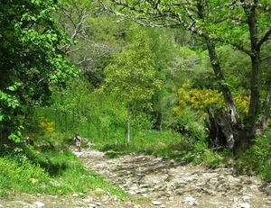 2008 Santiago  126