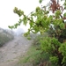 2008 Santiago  132