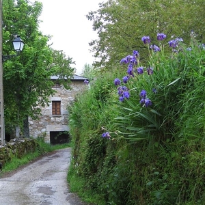 2008 Santiago  136