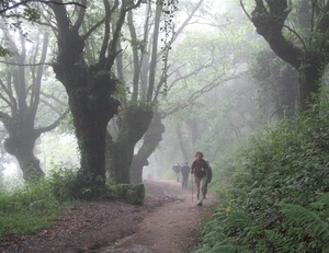 2008 Santiago  193