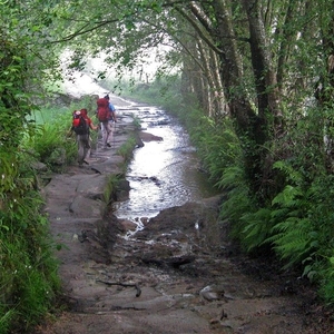 2008 Santiago  194