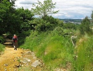 2008 Santiago  221