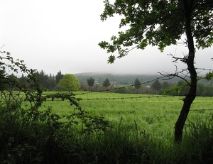 2008 Santiago  256