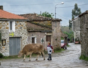 2008 Santiago  259