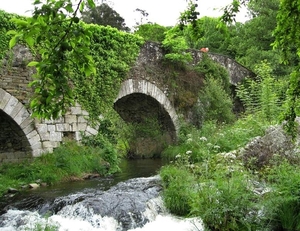 2008 Santiago  265