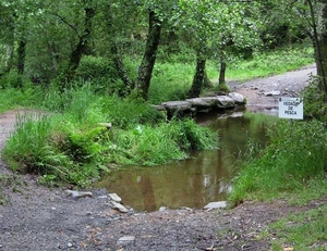 2008 Santiago  271