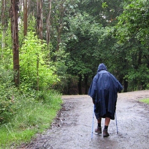 2008 Santiago  279