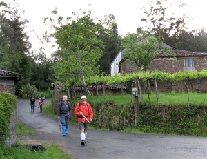 2008 Santiago  294