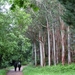 2008 Santiago  296