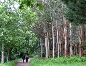 2008 Santiago  296