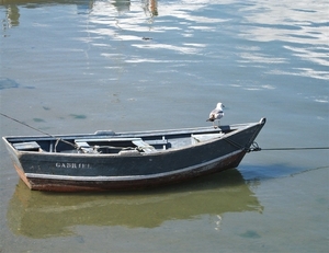 2008 Santiago  374