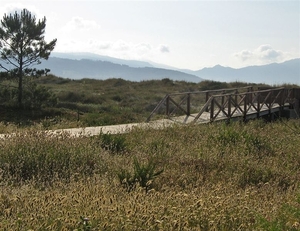 2008 Santiago  380