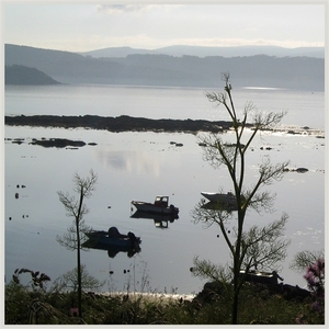2008 Santiago  388