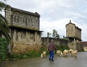 2008 Santiago  392