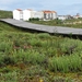 2008 Santiago  398