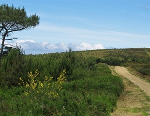 2008 Santiago  442