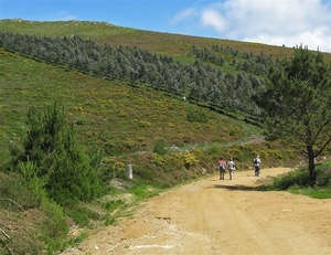 2008 Santiago  443