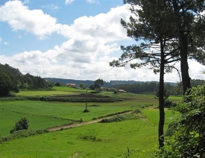 2008 Santiago  445
